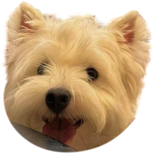 White Yorkie Phone Grip