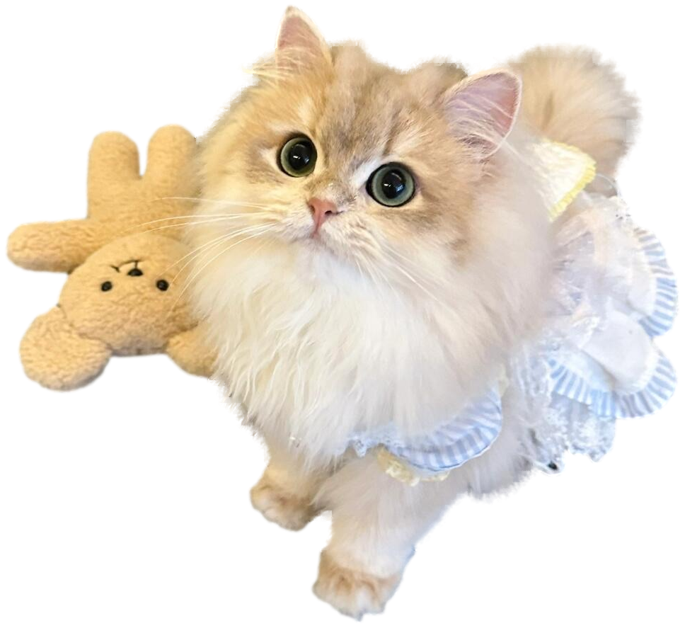 Stuffed Animal Cat Phone Grip