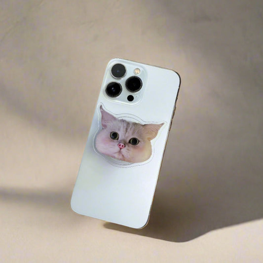 Piggy Cat Phone Grip