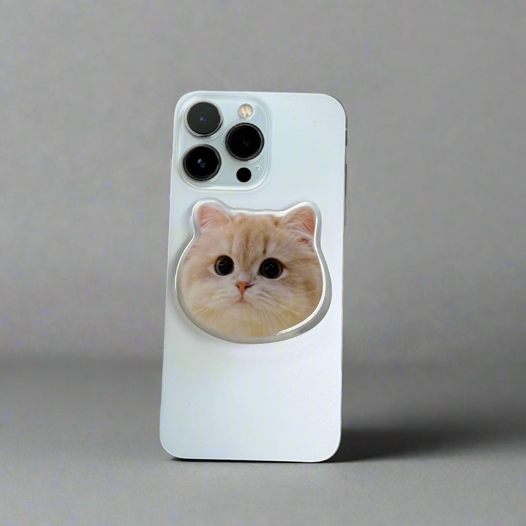 Golden British Shorthair Phone Grip
