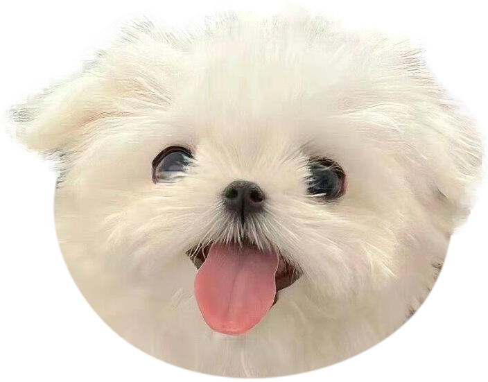 White Baby Maltese Phone Grip