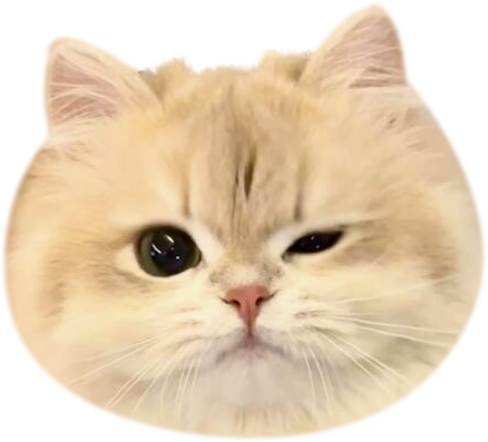 Winky Golden Phone Grip