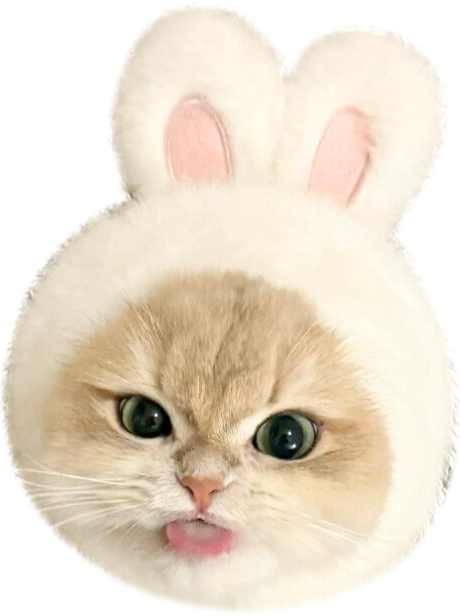 Bunny Cat Phone Grip