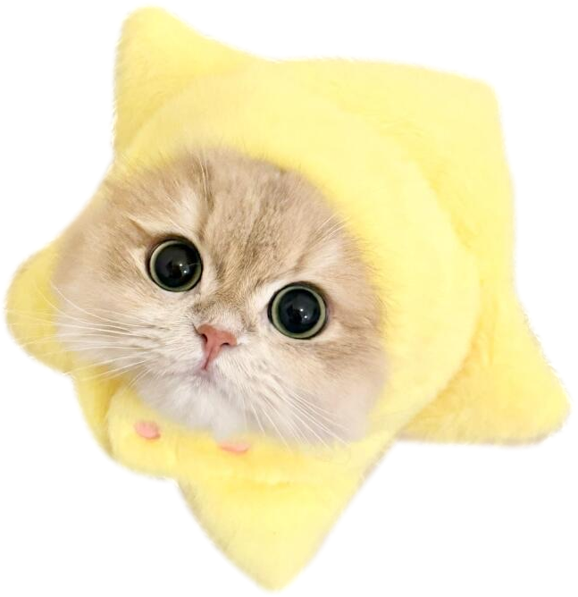 Star Cat Phone Grip