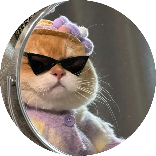 Sunglasses Cat Phone Grip