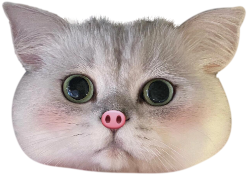 Piggy Cat Phone Grip