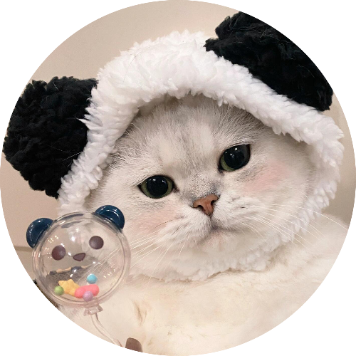 Panda Cat Phone Grip