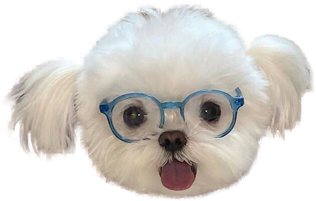 Glasses Maltese Phone Grip