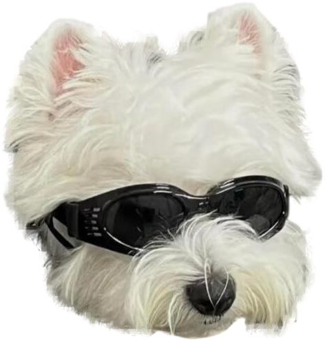 Sunglasses Yorkie Phone Grip